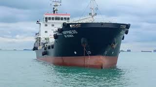 RORO Royalty Shipspotting the Wallenius Wilhelmsen Vessel  SINGAPORE  AMSTERDAM  ISTANBUL [upl. by Melessa]