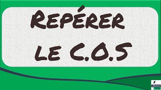 Repérer le COS dans une phrase [upl. by Worsham]