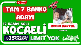 KOCAELİ  Canlı Yayın  Bariyer Dibi  12 Kasım 2024 Salı atyarisi [upl. by Maiah]