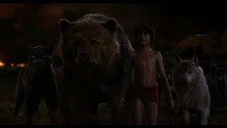 The Jungle Book 2016  Sherekhan VS Baloo amp Bagheera  Hollywood  MovieClips In Hindi HD [upl. by Balduin]