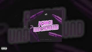 PERREO UNDERGROUND 🔥  Alee Bravo OK Gatita michu michu toma bicho [upl. by Lehteb669]