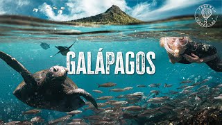 Galapagos Islands  How is this Real Life [upl. by Nessah]