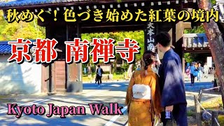 11月3日日祝【Nanzenji Temple】禅宗寺院の中でも最高位の格式を持つ「南禅寺」。国宝や重要文化財に指定された建造物と豊かな自然が調和する、静謐で美しい空間が境内に広がっています。 [upl. by Odlaumor]