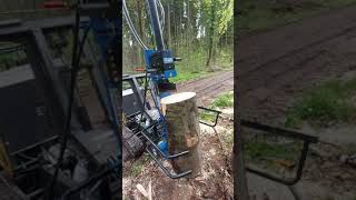 Buchenholzspalten mit dem ForstDumper Ein Scheppach Holzspalter direkt an der Dumperhydraulik [upl. by Massarelli284]