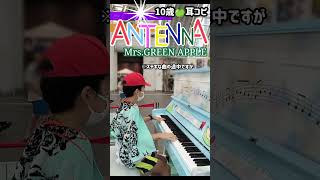 ミセス【ANTENNA】ハプニング！？鍵盤の上に…10歳耳コピMrsGREEN APPLE [upl. by Walburga]