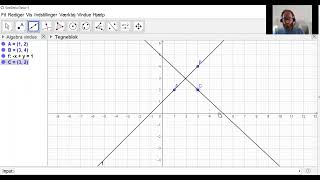 Matematik B  51b Den lineære funktion i Geogebra [upl. by Aneloj917]