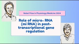 micro RNA Nobel prize in Medicine Physiology 2024 [upl. by Korenblat]