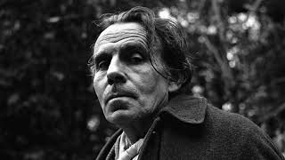 Entretiens avec le professeur Y  deuxième partie  Louis Ferdinand Céline [upl. by Nnagrom]