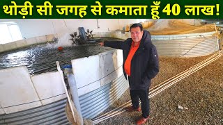 Sultan Fish Farm RAS System Cost Profit Subsidy Full Information in Hindi [upl. by Artinad]