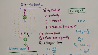 Stokes law  Terminal velocity  Mechanical properties of fluids  Class 11 Physics [upl. by Goines766]