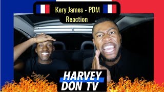 Kery James  PDM feat Kalash Criminel Reaction English Translation HarveyDonTV PDM Harveydontv [upl. by Tra]