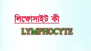 What is Lymphocyte  লিম্ফোসাইট কি এর কাজ কী [upl. by Adoc421]