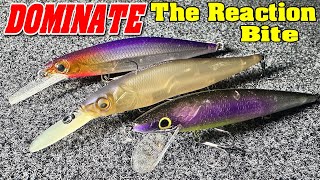 The DOMINANTE Reaction Bait [upl. by Peregrine]