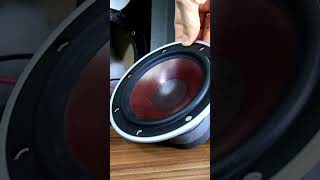 Dali Zensor 1 Speaker Disassembly [upl. by Pablo666]