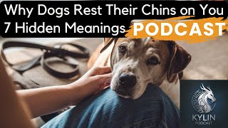 Why Dogs Rest Their Chins on you  7 Hidden Meanings 【Kylin Podcast】 [upl. by Sunil241]