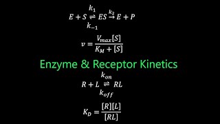 Enzymes and Receptors  Kinetics [upl. by Nosreve296]