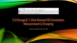 FIJI ImageJ 1Click Manual ROI Annotation Measurement and Grouping [upl. by Eetsim]