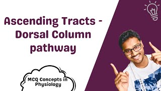 Dorsal column pathway  MCQ concepts [upl. by Garratt]