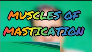 ANATOMY VIDEO SHOTS Muscles of Mastication [upl. by Violet]