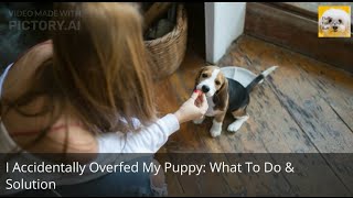 I Accidentally Overfed My Puppy  What To Do amp Solution [upl. by Dnalyk727]