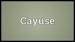 Cayuse Meaning [upl. by Benildas579]