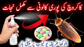 4 Effective Ways To Kill Cockroaches Home Remedies To Get Rid Of CockroachesKitchen Tips [upl. by Sonitnatsok]