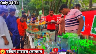 শুরু হলো মাছ ও একুরিয়ামের মেলা🐠Aquarium Price In Bangladesh🐠Aquarium Fish Price In Noyabati 2024 [upl. by Eiderf]