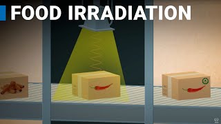 Using Nuclear Science in Food Irradiation [upl. by Jilly652]