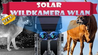 NEXCAM Solar Wildkamera WLAN Test Review 60MP 4K DualObjektiv Nachtsicht Bewegung Aktiviert [upl. by Wershba697]