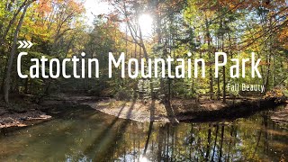 Beautiful Fall colors all around in Catoctin Mountain Park nature hiking fall [upl. by Ahseined]