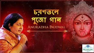 Ami montro tontro  Anuradha Paudwal [upl. by Ttebroc]