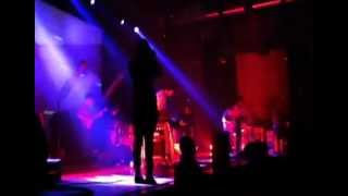 The Cleaners from Venus  Only a Shadow Live Cover by MGMT [upl. by Sue602]