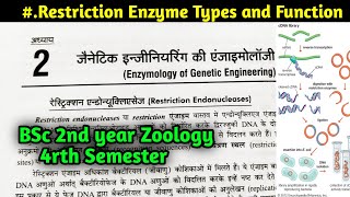 Restriction Enzyme Types and functions  BSc 2nd year Zoology fourth Semester [upl. by Piero]