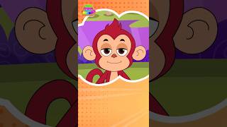 Head shoulders knees and toes  Nursery Rhymes  Kids Song  Little Finger Rhymes [upl. by Eissat971]