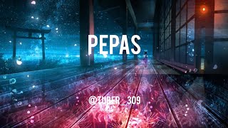 Pepas  Farruko  music video  viral  Tuber309  enjoy [upl. by Gav]