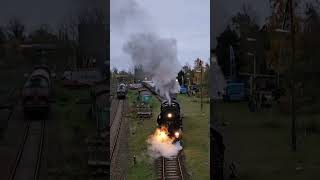 Dampflokomotive 52 81548 aus dem Eisenbahnmuseum LeipzigPlagwitz  trainspotting dampflok train [upl. by Ymrots]