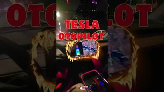 Bu araba nereye gidiyor  tesla autopilot [upl. by Eb]