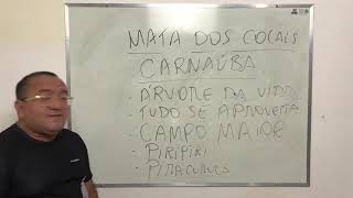 CONHECIMENTOS REGIONAIS DO PIAUÍ  PROFESSOR ERISVALDO ALVES [upl. by Lyudmila]