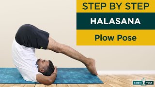 Halasana Plow Pose How to Do Step by Step for Beginners Benefits Precautions  Yoga Inversions [upl. by Laurinda476]