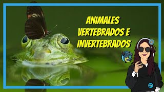 Los animales VERTEBRADOS e INVERTEBRADOS para NIÑOS ¿Cuáles son ¿Dónde viven Características 🐢🐻 🐞🦁 [upl. by Vittorio573]