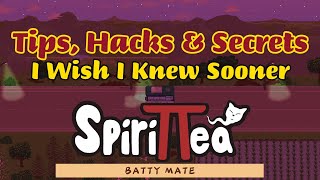 SpiriTTea  Tips Hacks amp Secrets that I wish I knew Sooner [upl. by Ybsorc179]