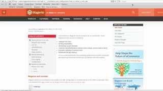 How to Setup Magento Cron Jobs in cPanel [upl. by Eisus333]