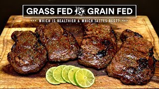 GRASSFED vs GRAINFED steak experiment which is best [upl. by Esinej]