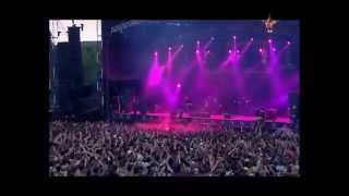 The Offspring  Want You Bad Live Best Performance HD [upl. by Rives46]