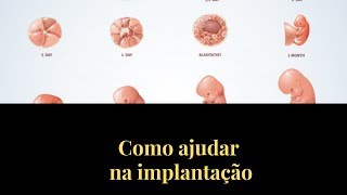 Como ajudar na Implantação do Embrião [upl. by Susanna]