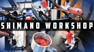 AUSFÜHRLICHER SHIMANO BREMSEN WORKSHOP  MONTAGE ENTLÜFTEN amp EINSTELLEN 1000 € HARDTAIL PROJEJEKT [upl. by Sethrida414]