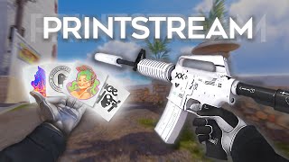 M4A1S Printstream BEST sticker Combos in CS2 [upl. by Armillia]