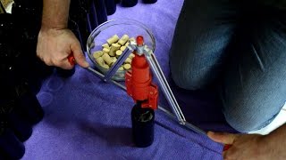 How To Make Red Wine From Grapes Bottling [upl. by Harima]