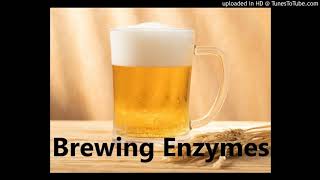 Beer Brewing Enzymes Suppliers Glucoamylase Thermostable α–Amylase for Brewing [upl. by Butler]