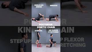 posterior kinetic chain [upl. by Bradway]